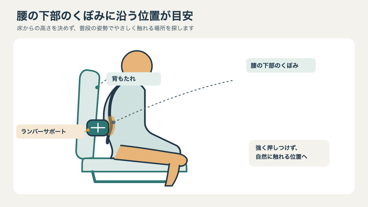 背もたれに座った人の腰まわりと、腰のくぼみに触れるサポート位置を示す模式図