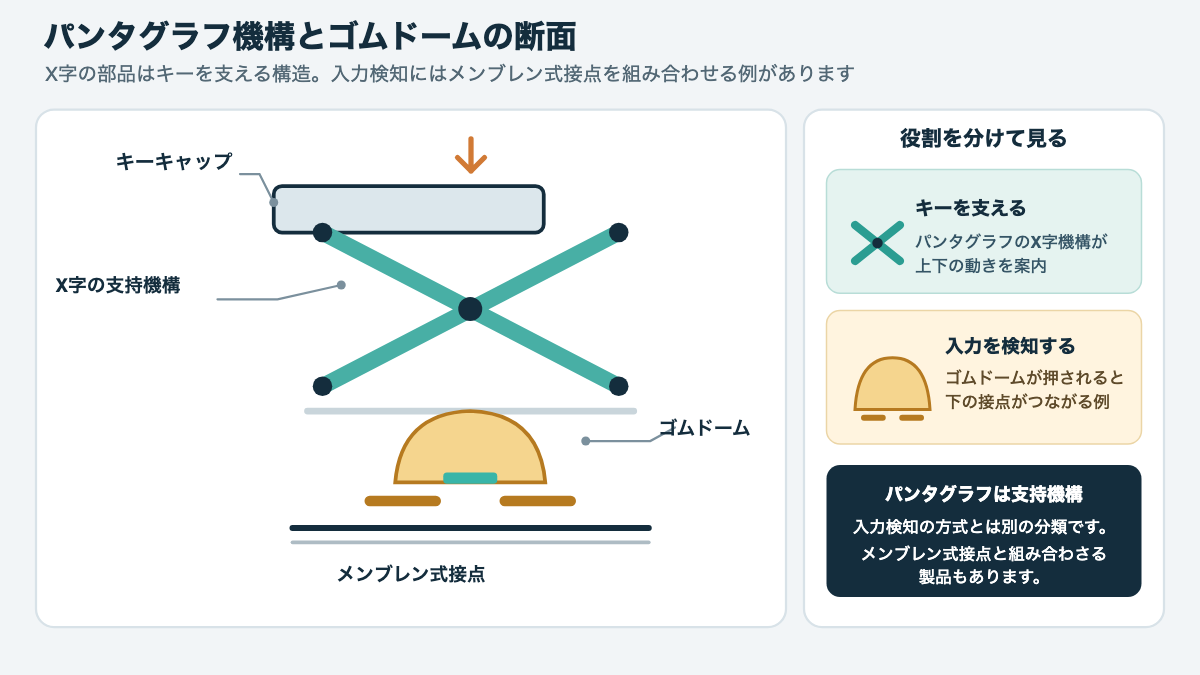 キーキャップを支えるX字のパンタグラフ機構と、その下のゴムドームを断面で示した図